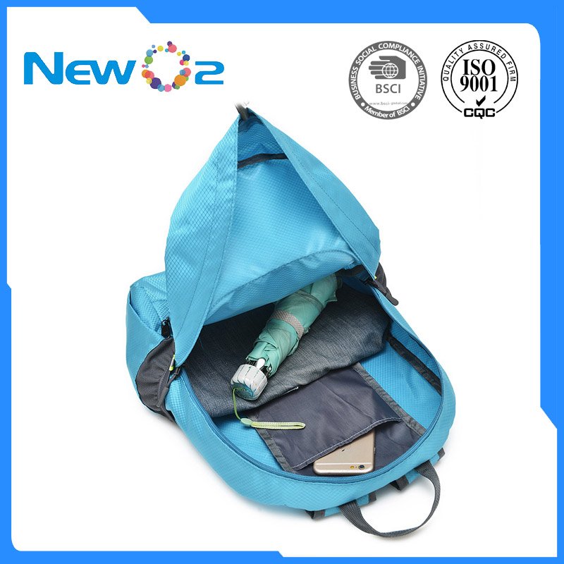 Wholesale Waterproof Cheaper Small Quantities Custom Logo Lightweight Nylon Daypack Foldable Shopping Backpack Bag