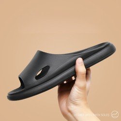 Hole-Black