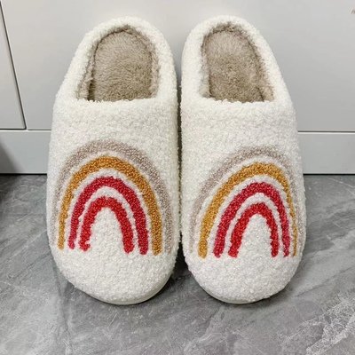 2022 New Color Slides Slippers Rainbow Slipper Winter Indoor Flat Warm Cute Slippers For Adults