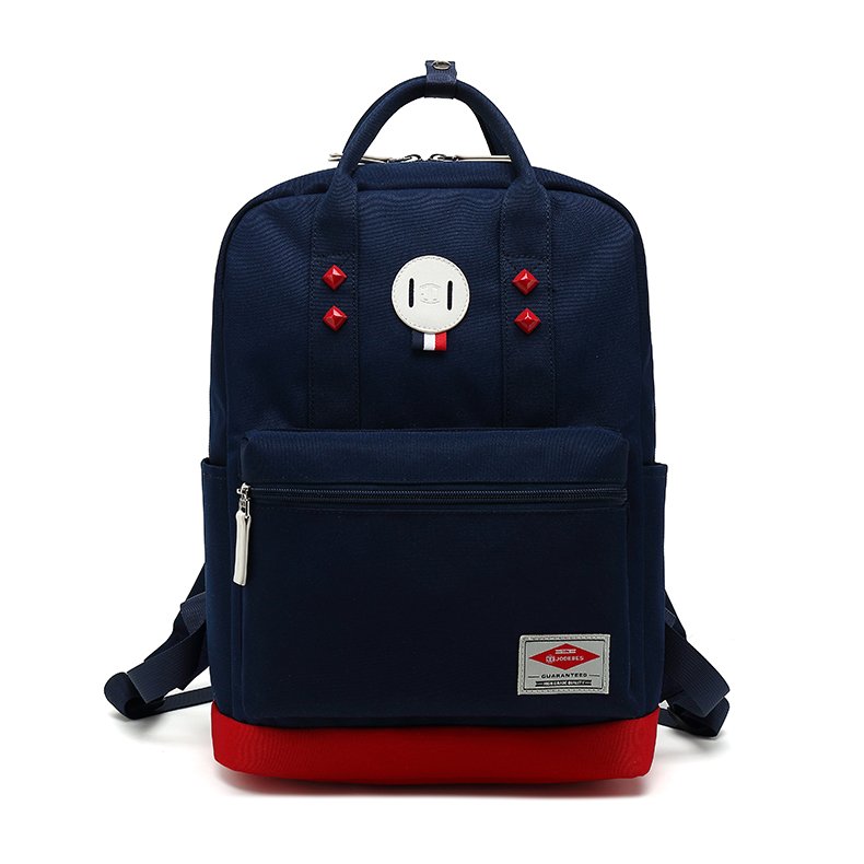 Business laptop bag ,waterproof ladies laptop backpack