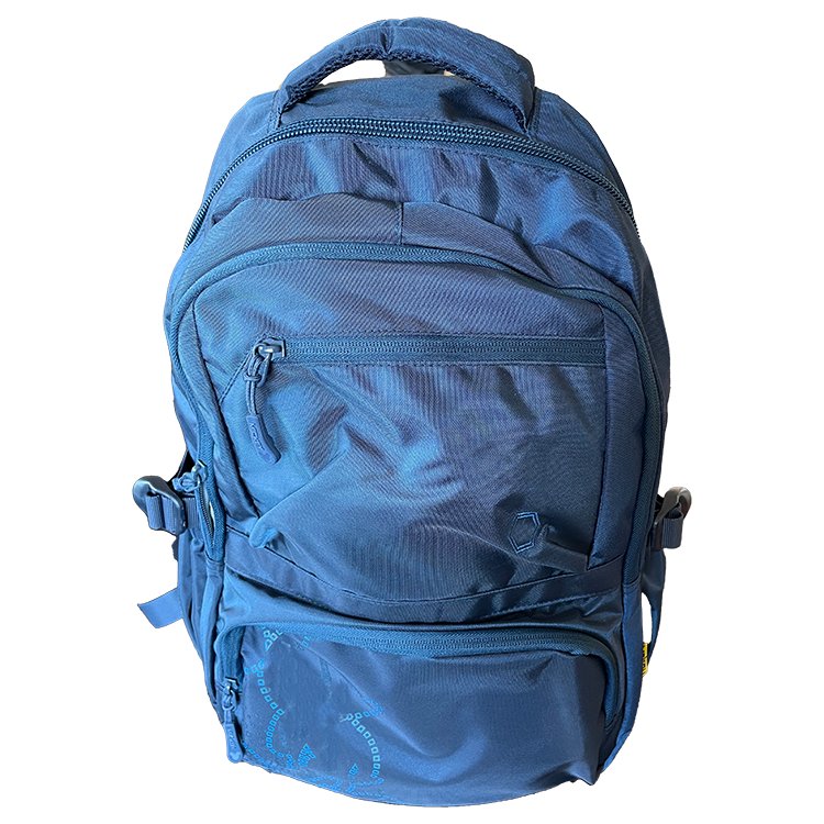 Custom durable knapsack Large Capacity Day Pack Business Laptop Backpack