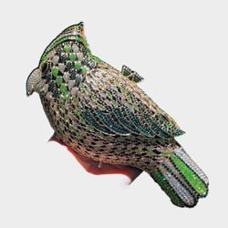 parrot