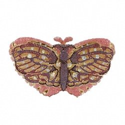 butterfly b
