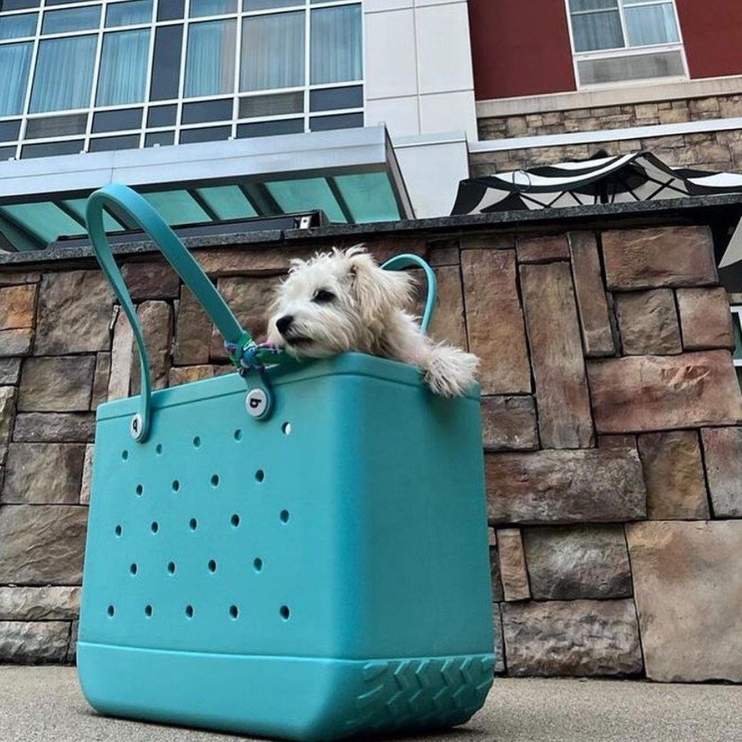 Quality Upgrade New Ladies EVA Bag Portable Shoulder Supermarket Shopping Travel Luxury beach Bag Kids Bogg Bag