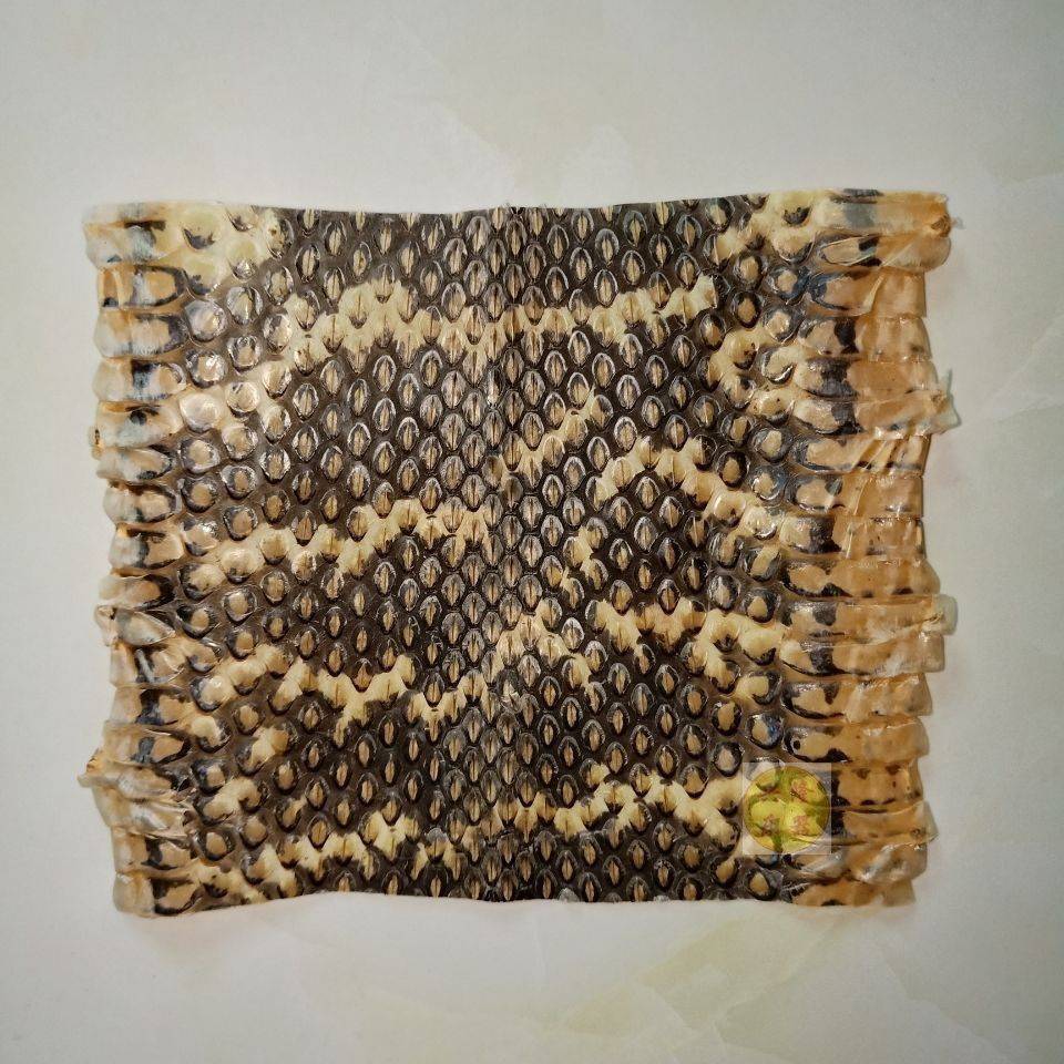 Pine cauliflower leather king Daqin leather instrument accessories repair and send skin glue two desktop snakeskin handmade