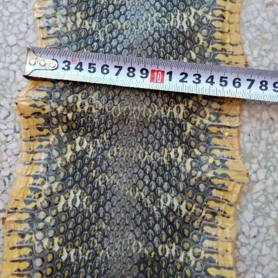 Pine cauliflower leather king Daqin leather instrument accessories repair and send skin glue two desktop snakeskin handmade