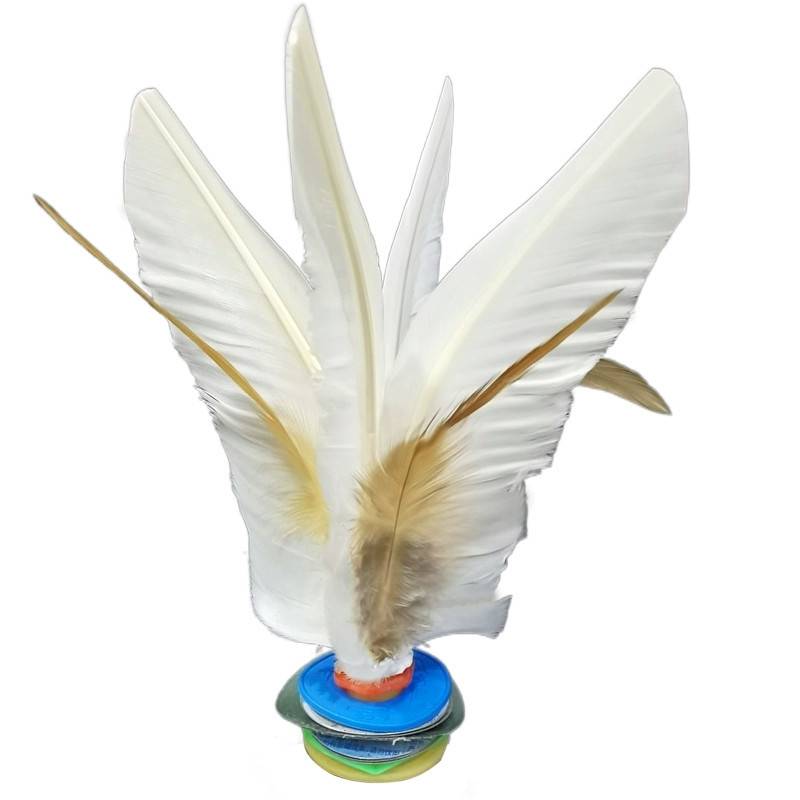Duzi competition for Da Baizi Sports high school elementary school students goose hair chicken feet, children's feet kicking