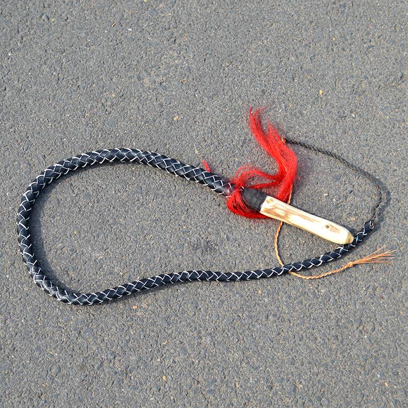 Cechplasia whip whiping whip fitness whip defensive whip Kirin whip martial arts chief whip sheep whip