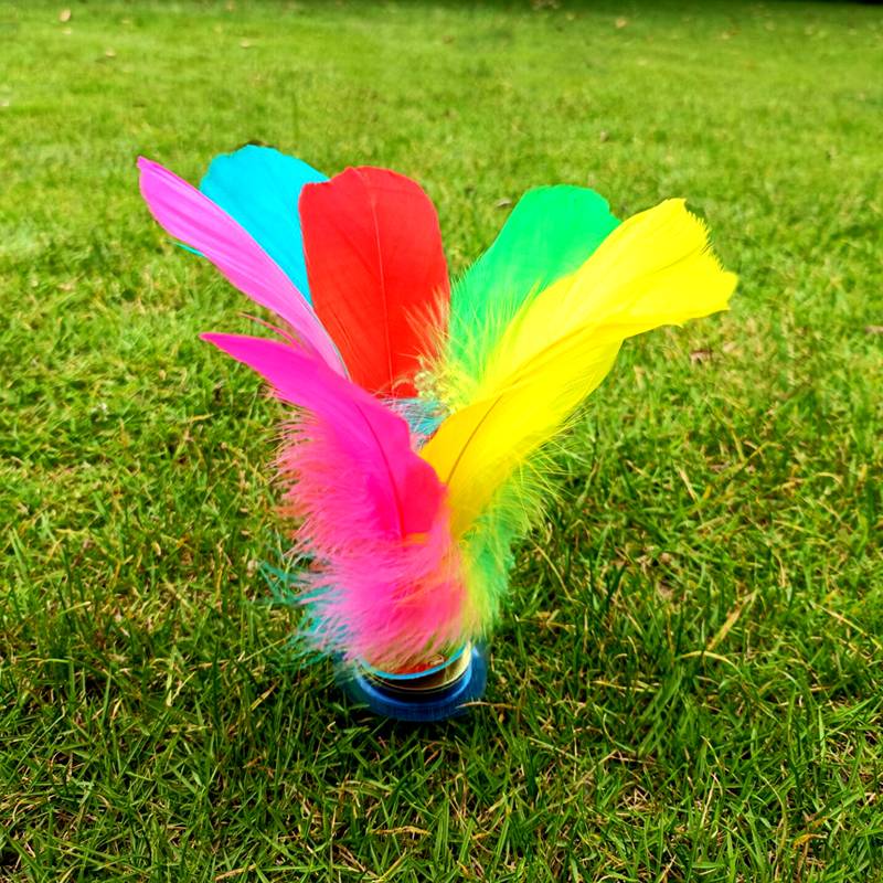 16cm Caihe Tuizi [1]
