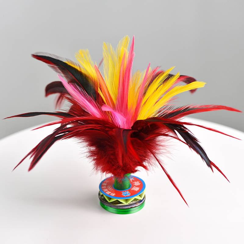 16 cm big chicken feathers [1]