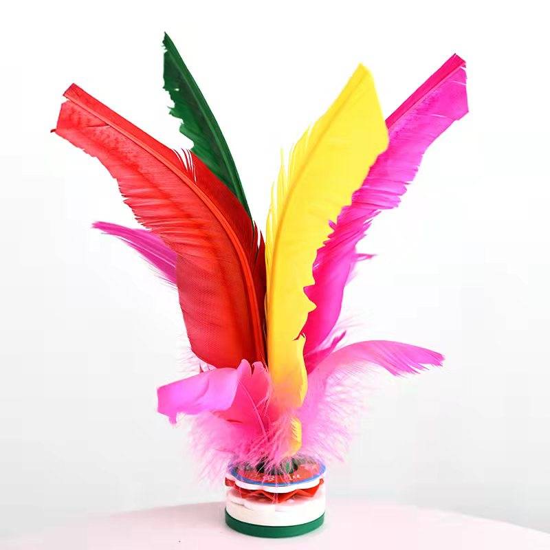 21 cm quiet goose feathers [1]