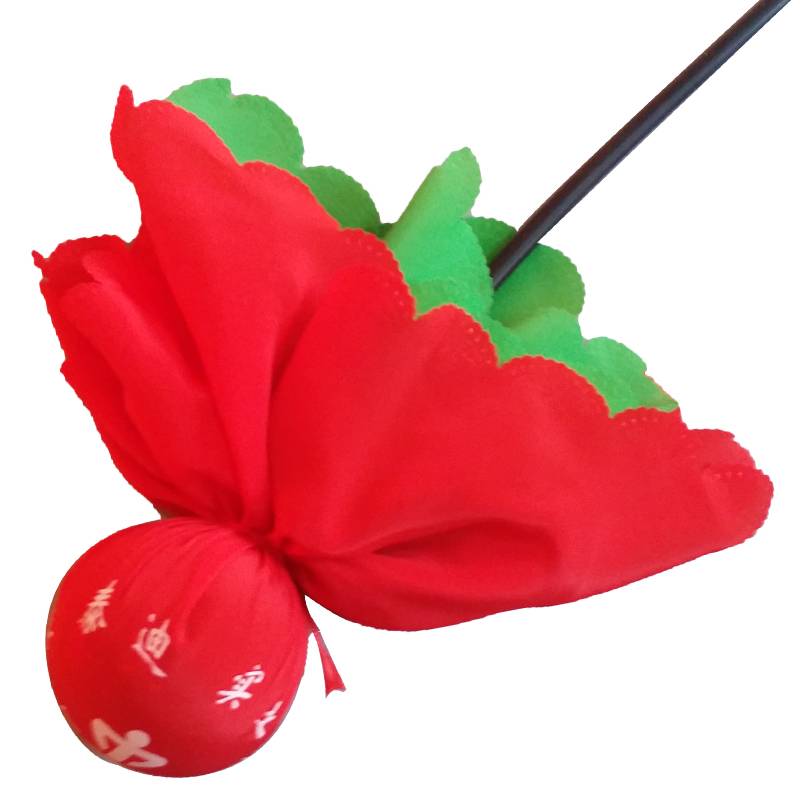 Special in the game, Hebei Teddy brand Wuji Fitness Ball Elderly Taiji Fitness Ball Thick Boat Blog Stato Single