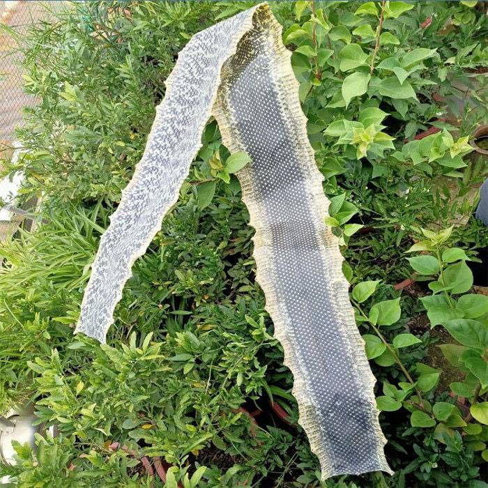 Erbi Snake Speculatory Pine cauliflower Flower Snake King Snake Specification Erhu Skin Musical Musical Musical Musical Musical Musical Musical Musical Musical Musical Musical Music Maintenance