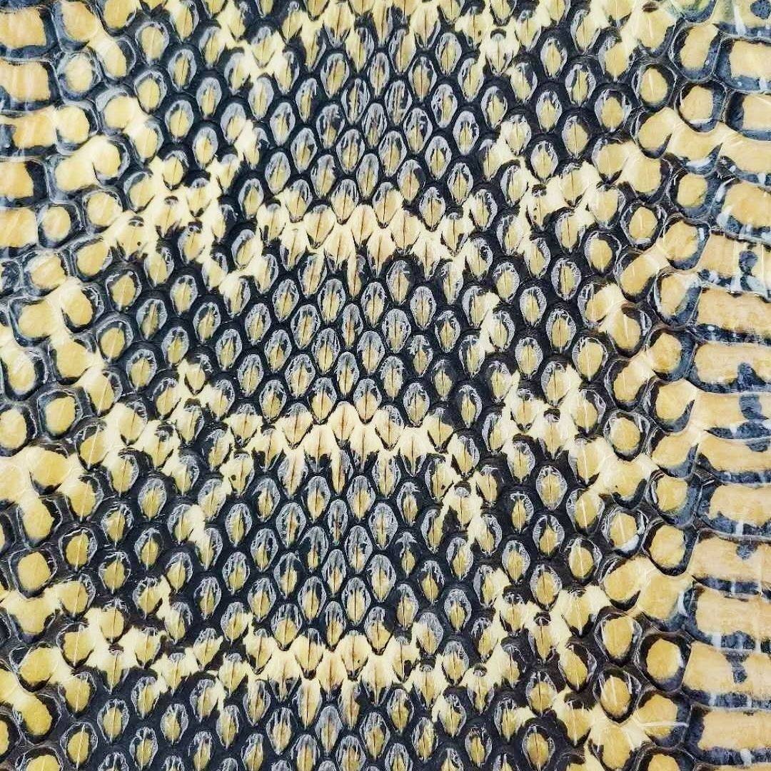10 cm wide, 10 cm long small piece of skin
