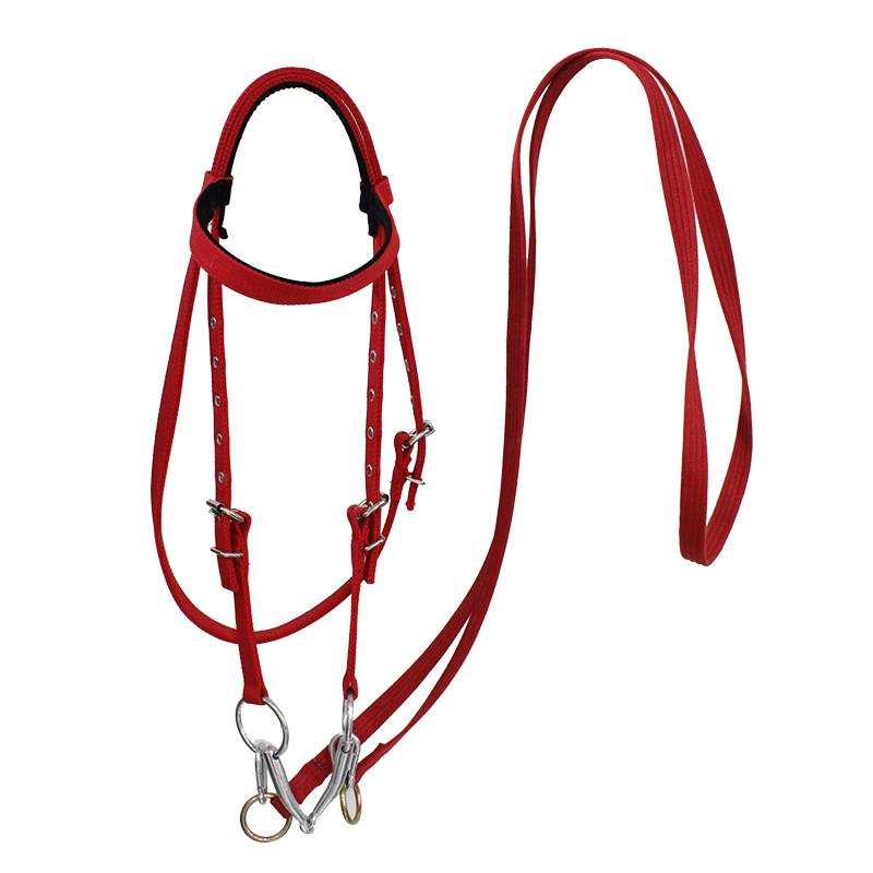 Shuile's reins, iron horses chewing full -scale equestrian supplies horse horses, water pupae