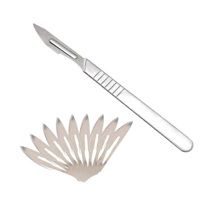 1 surgery knife (a total of 10 blades)