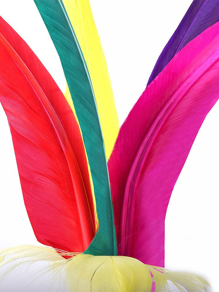 Olympic Grasson Adult Fitness Training Picking Ball Color Color 5 Slices of Goose Hats Student Kindergarten Children's Dahua