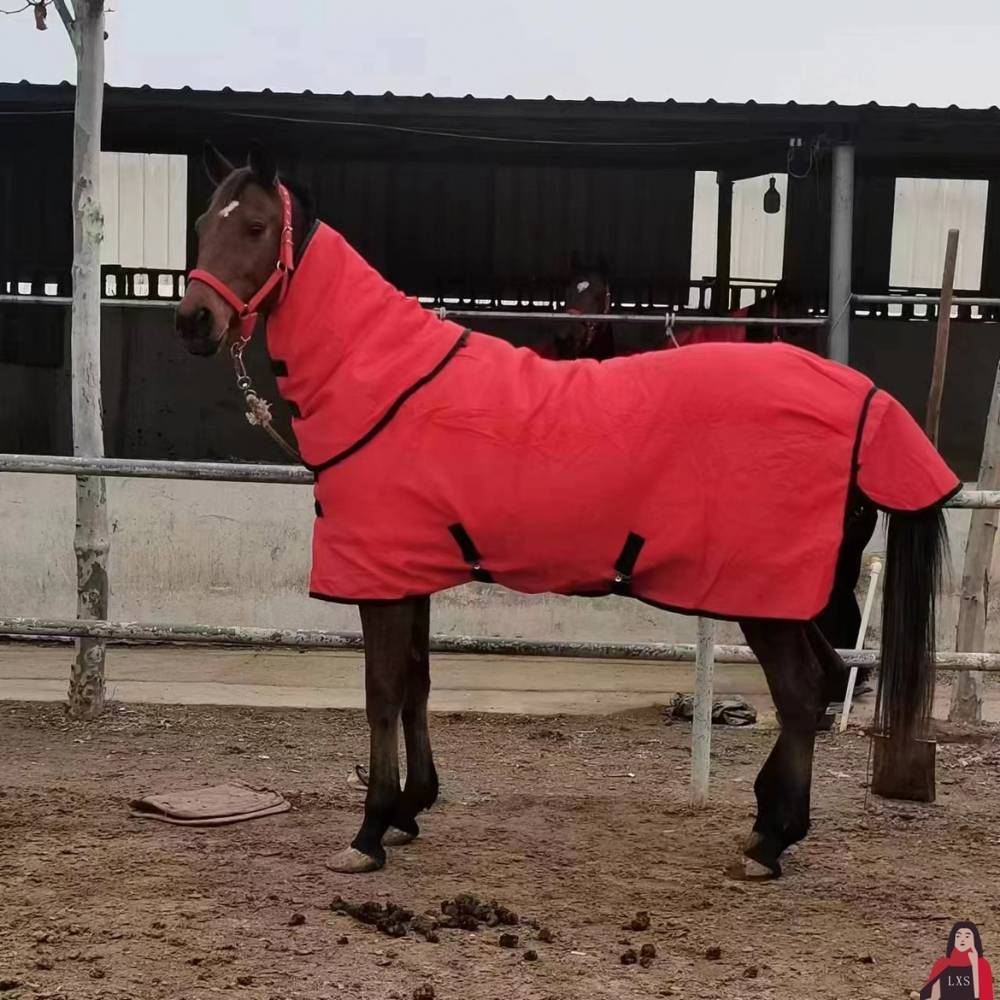 Red 115 cm back long