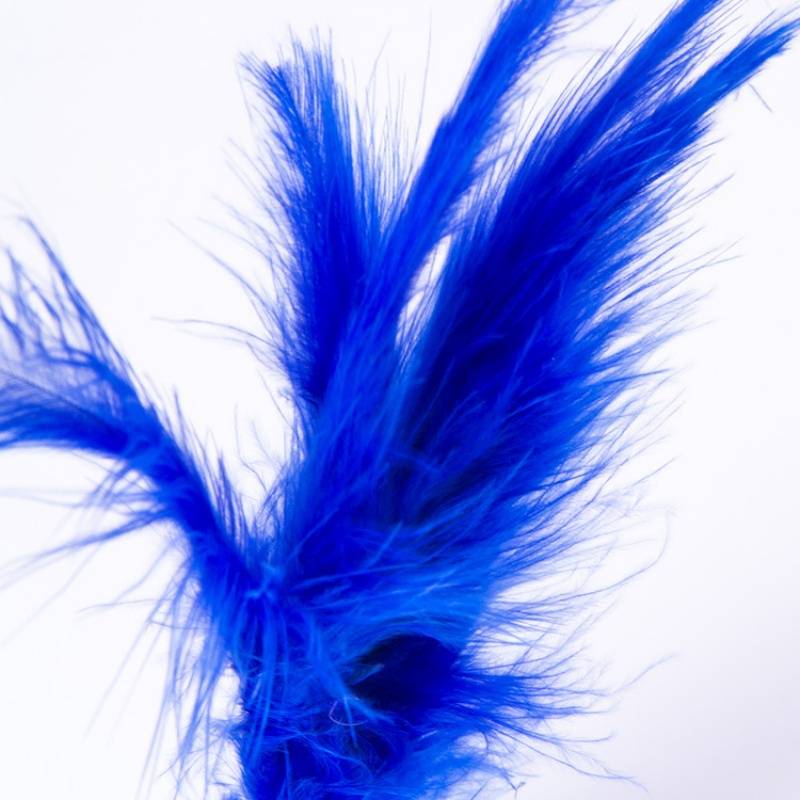 The bottom of the flat bottom, the crane colored sister -in -law, the color hair color, the ball, the gangsters, the bond of the flower bond, the colorful feathers