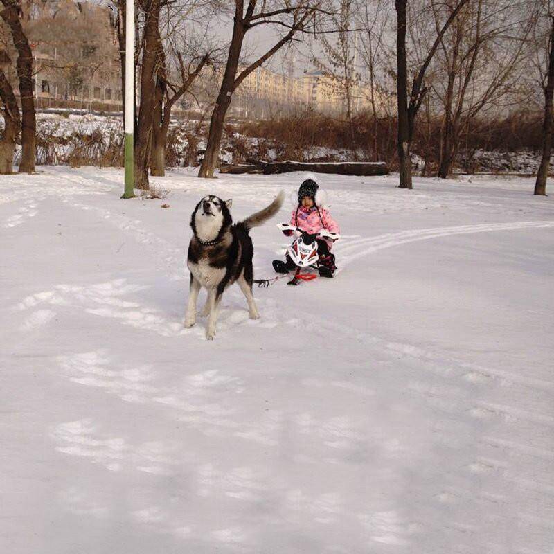 Skilan outdoor children's snow motorcycle with brake ice car adult dog sled snow and snow ski panels