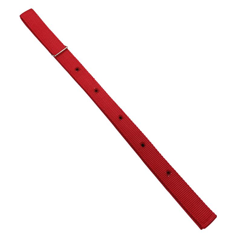 Red and thick belly root 1
