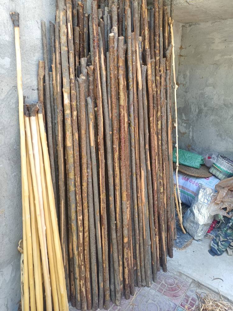 Western Qinling Wild Red Tunzi Wchlog of Waste Waste Martial Arts Stick 13 Performance Sticks length 120 cm to 135 cm