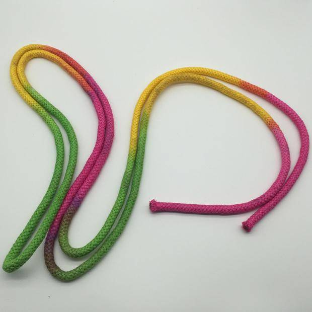 Alyssa's art gymnasium line