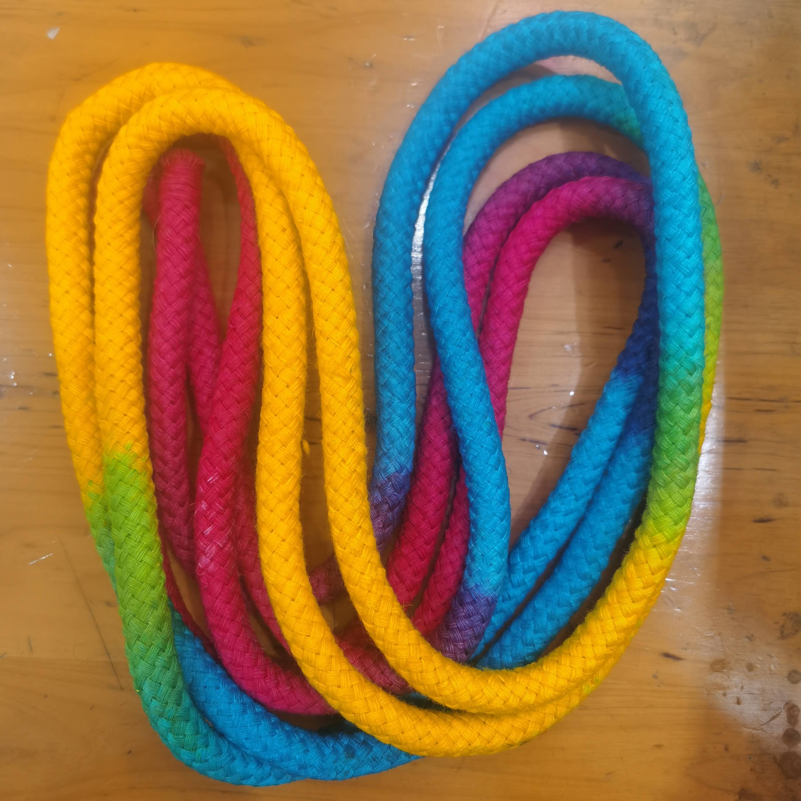 Alyssa's art gymnasium line