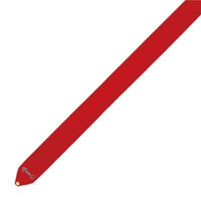 RED R CASH