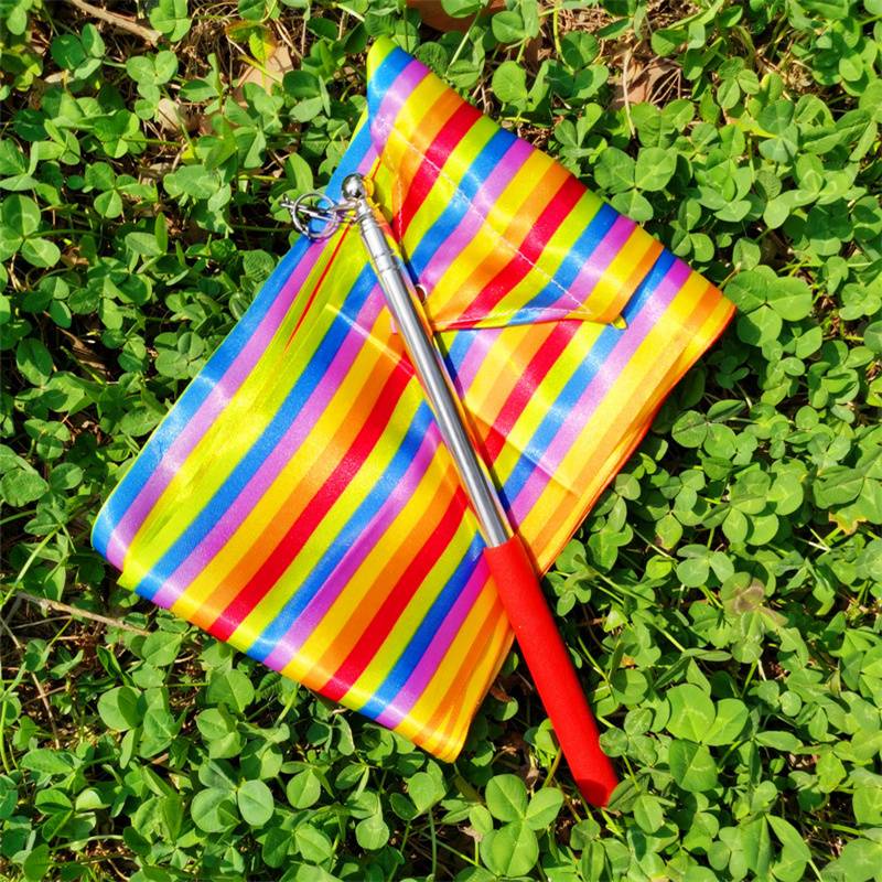 Stainless steel pole 1 m + 10 cm colour pack