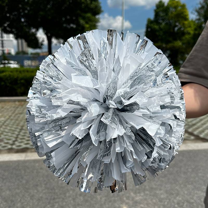 School cheerleading and choreographing and troupe-students will help Willow's plaque ball