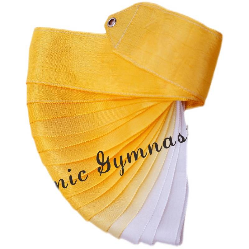 Alyssa Professional Gymnasium Belt Suite (Transform Color)