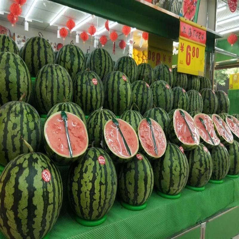 Watermelon padding C Watermelon fixed rim Watermelon Place watermelon anti -sliding circle watermelon rims in watermelon circle gymnastics gymnastics