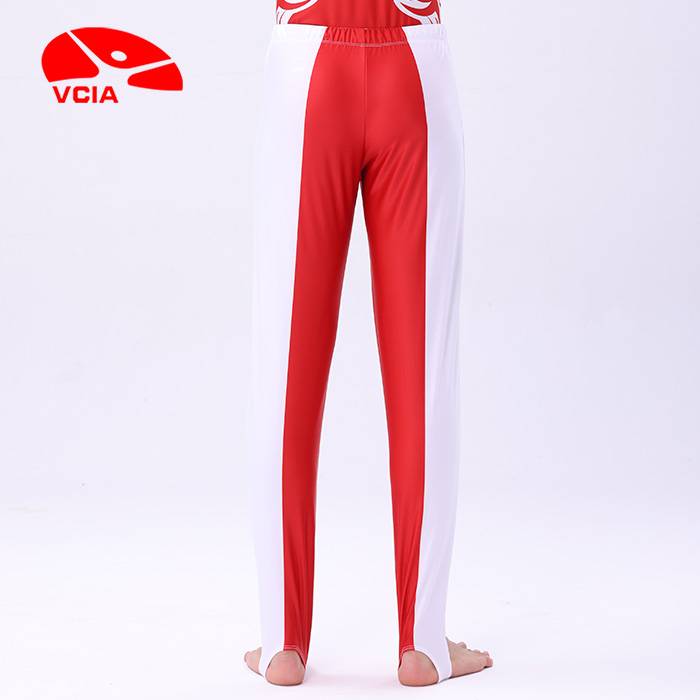 VICA VCIA 2024 FOR THE G.T.082B
