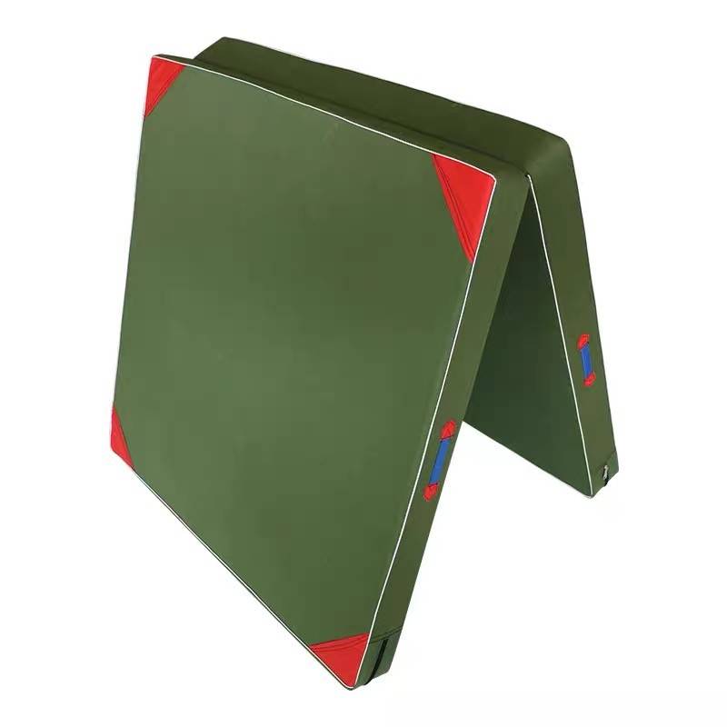 Gymnasium mats, dance and wrestling mats, gymnasium mats