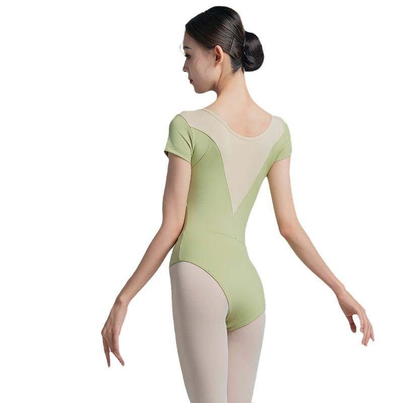 Ballet dance ensemble, adult tweed, gymnasium and gymnasium