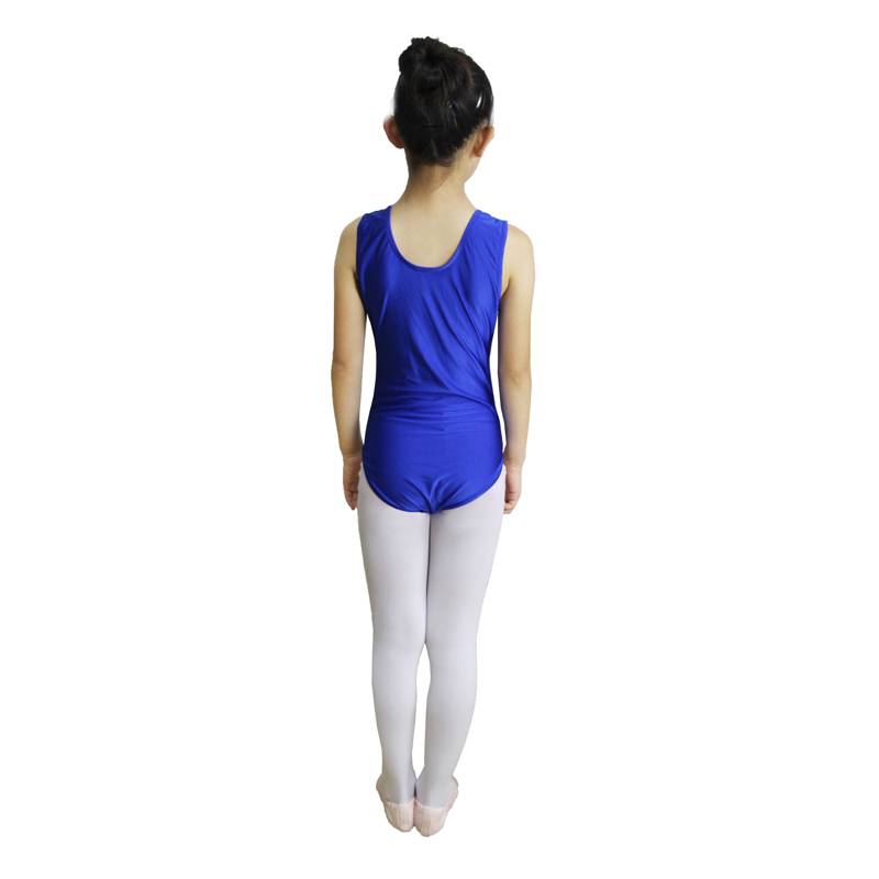 St. Lanser's colorless vest-less gymnasium and troupe