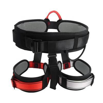 A regular belt