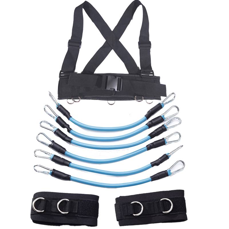 Track and diameter backbone tie training set