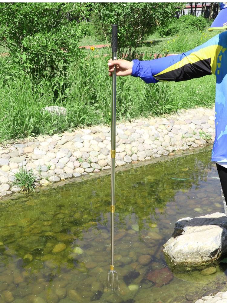 Scrambling fork in stainless steel and fork in fish and fork in fish, and scalding fork in fish and fork in fish and fork