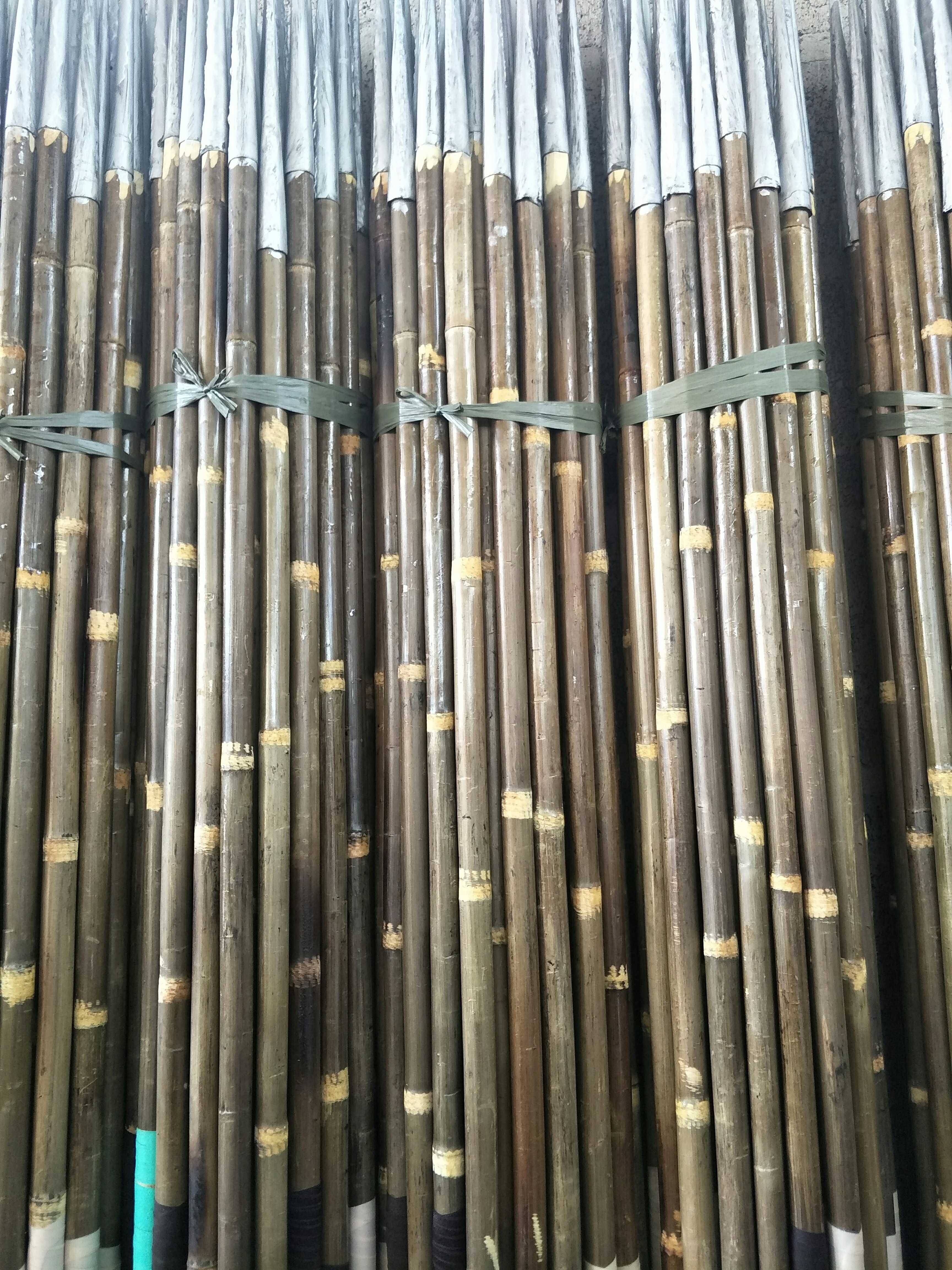 Track and field equipment ordinary bamboo javelin school training special track and field for traversor -to -field machine gun manufacturers direct sales
