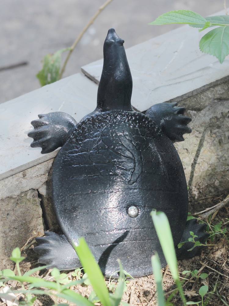 Rubber belt weight adjustment posture Turtle turtle simulation model practice turtle turtle guns and turtle turtle turtle fake bait floating water