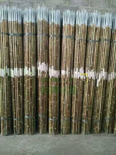 Guangdong School Track and Field Training Equipment Elementary and Middle School Students Physical Education Training Bamboo Signage Gun Games Throw Bamboo Poor
