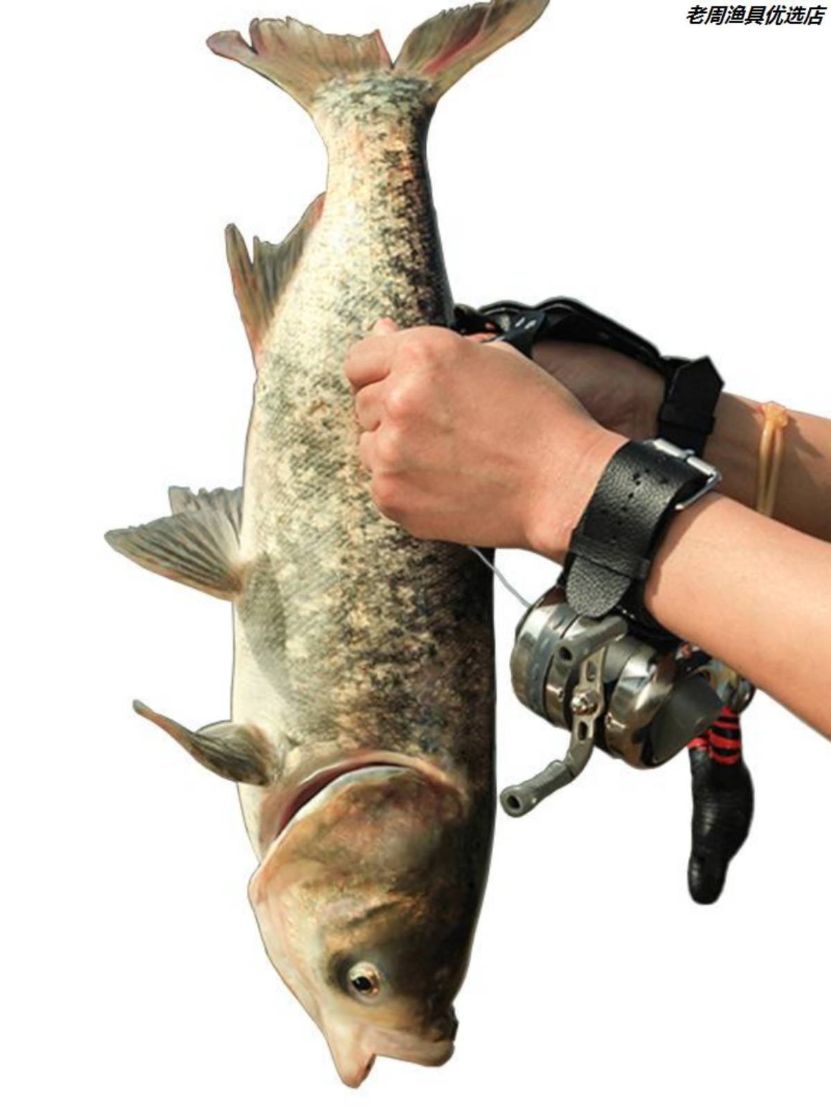 Fish dart launcher, new squirt, squirt, squirt, squirt, squirt, squirt, squirt