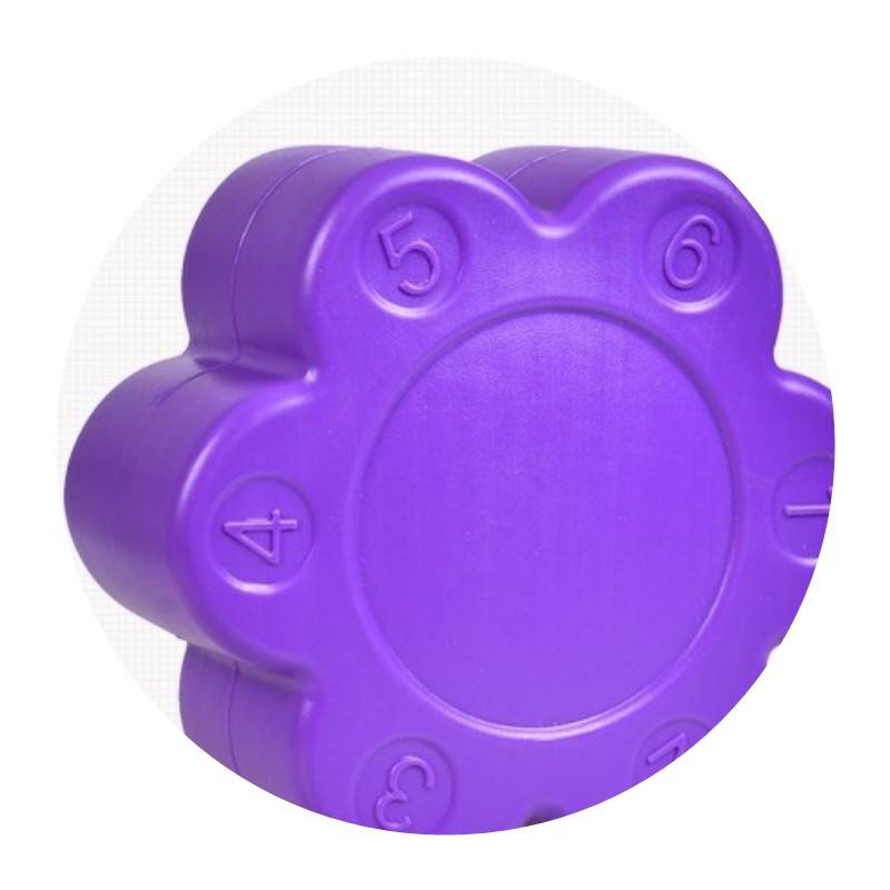 AN OUTDOOR PLUM POMEGRANATE CAMPAIGN TO EXPAND THE JUMP-UP OF U-CRUNCH EQUIPMENT FOR PRIMARY SCHOOL CHILDREN