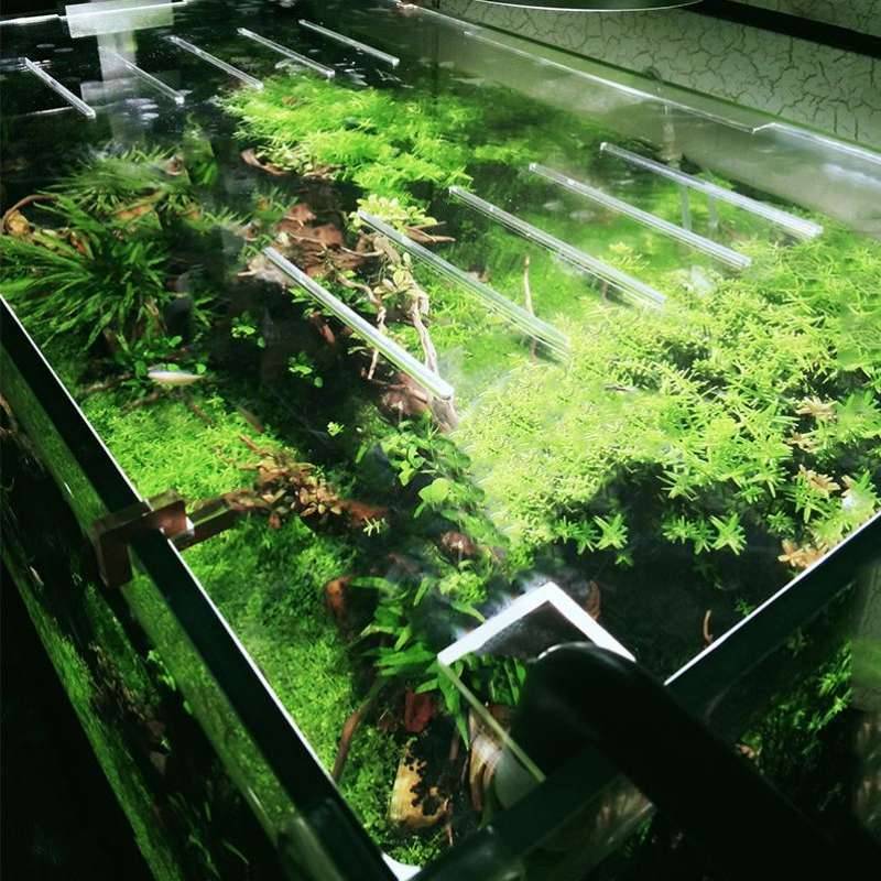 Fish tank jump lids are designed for jump lids with caps of Gaeakly plastic