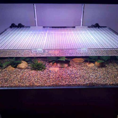 2021 can cut the anti -jump gear grid cutting clamp covering the panel aquarium turtle 17 -cylinder tank cutting stitching anti -jump net