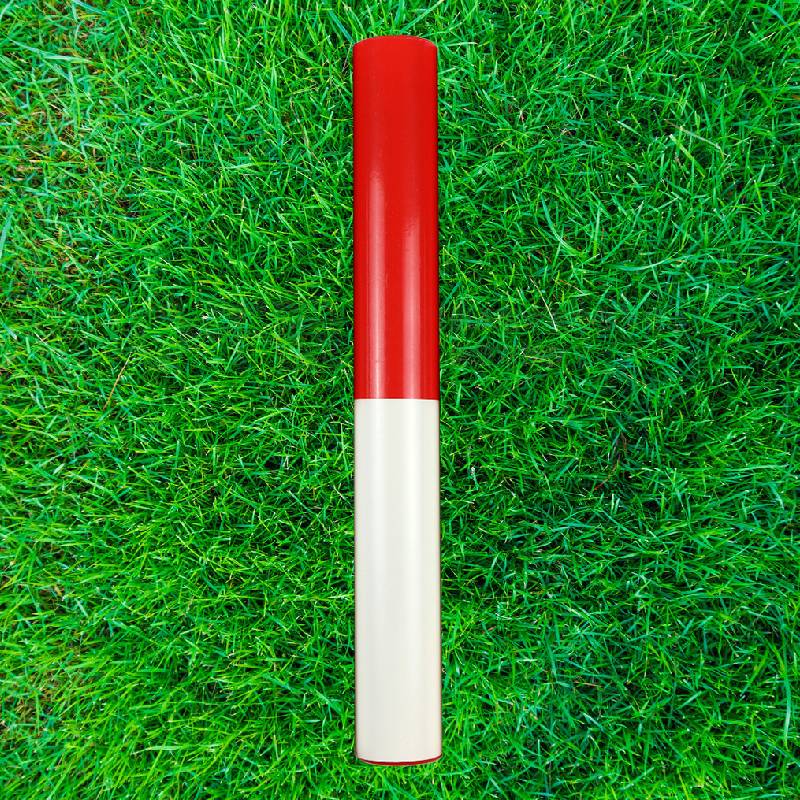 The relay stick (1)