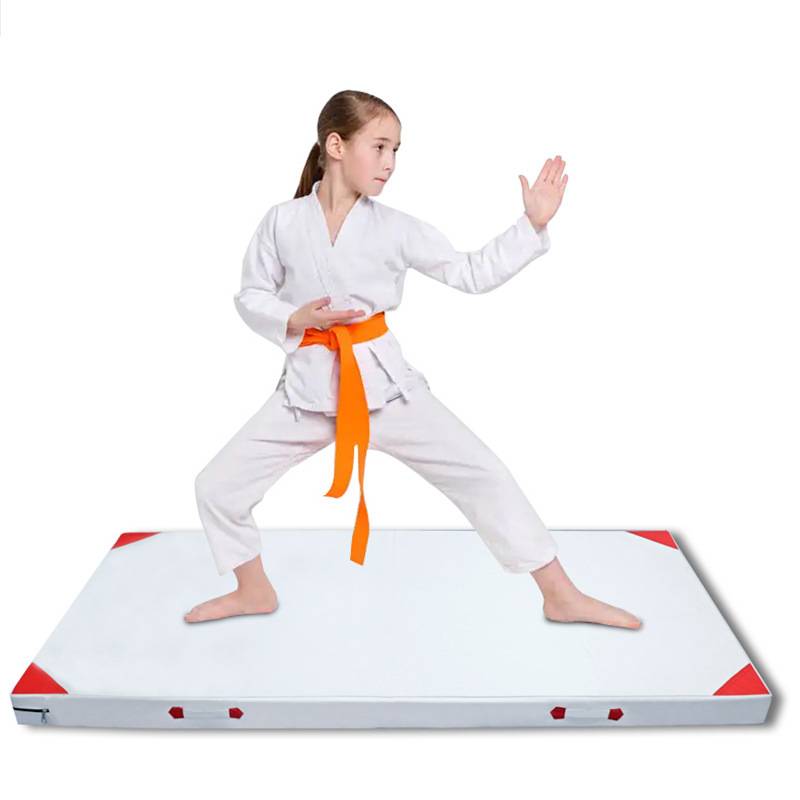 Spot sports practice pad dance gymnastics sponge pad cross -border supply empty pad Taekwondo martial arts pad