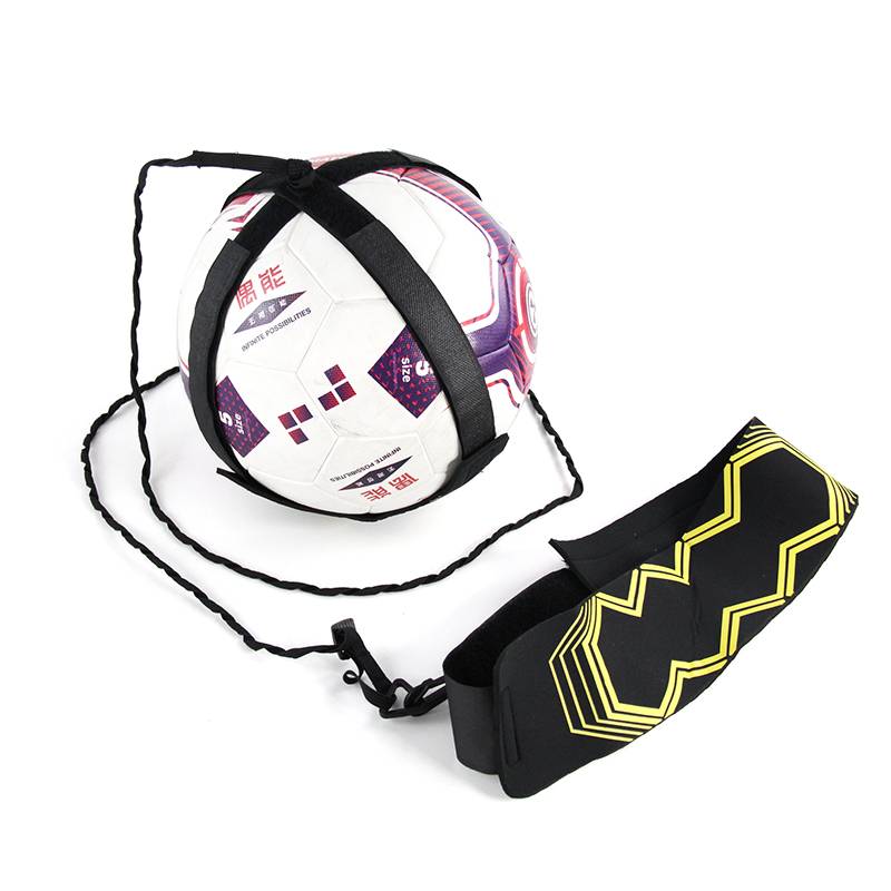 KICKUP TRAINING EQUIPMENT, ROLL-ON-A-BALL TRAINING KIT